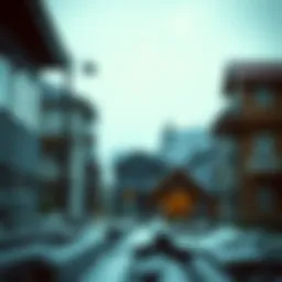 Illustration of diverse IRA types