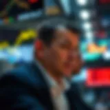 The Strategic Timing of Stock Purchases: Assessing the Value of Low Prices Introduction