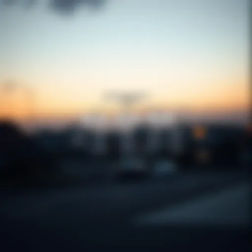 Structure of Qualified Disability Trusts Illustration of a qualified disability trust structure